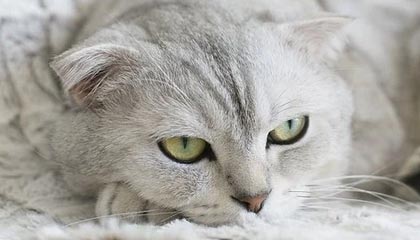 爱游戏在线娱乐官网-西甲战斗激烈，球员反馈赛后感受，西甲战果